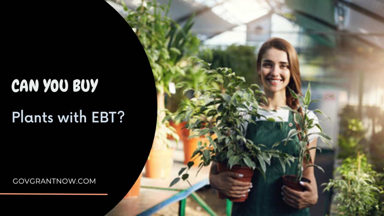 Can You Buy Plants with EBT