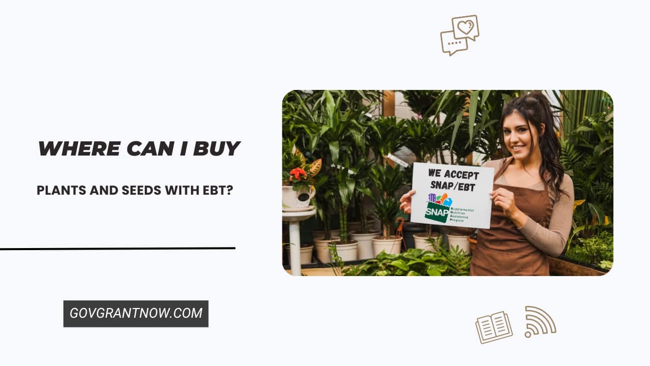 Where Can I Buy Plants and Seeds with EBT
